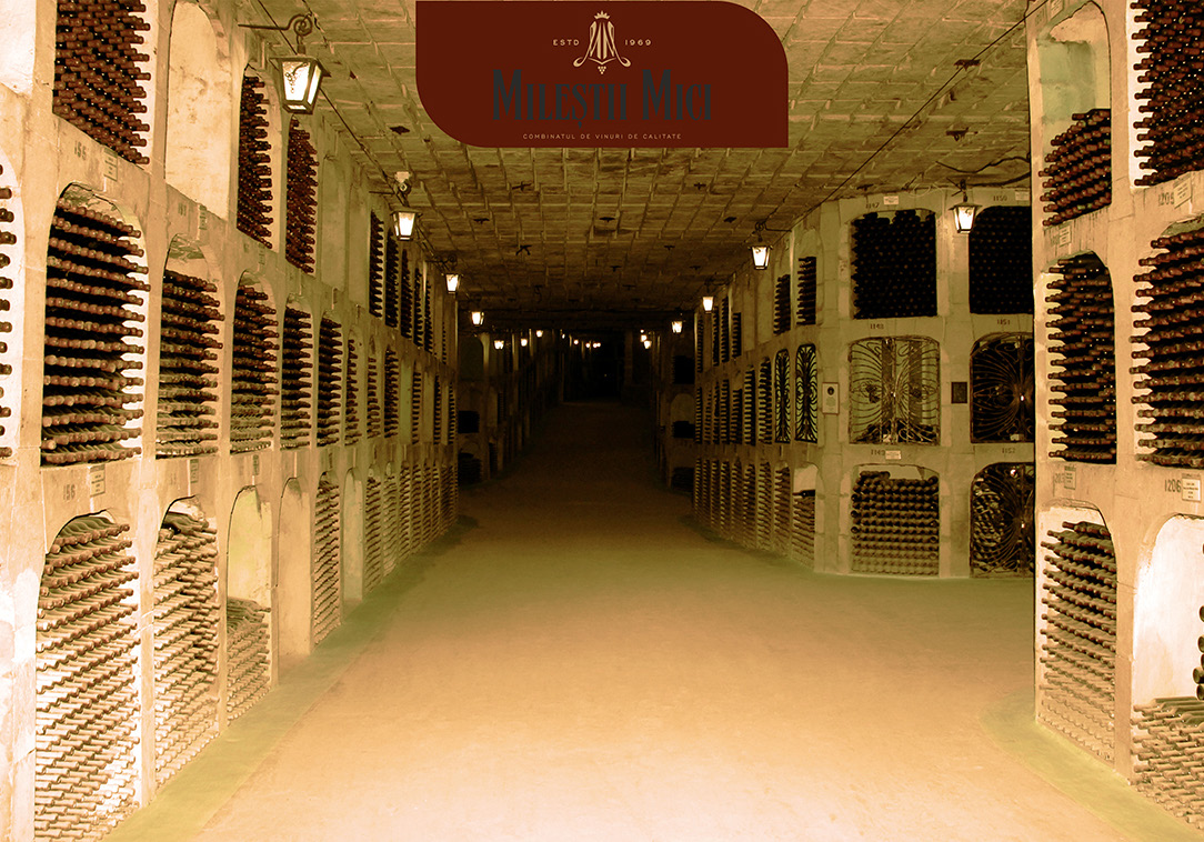 La bodega y las instalaciones