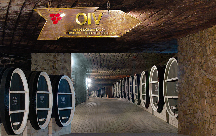 Viaje a la bodega con 2 millones de botellas de vino